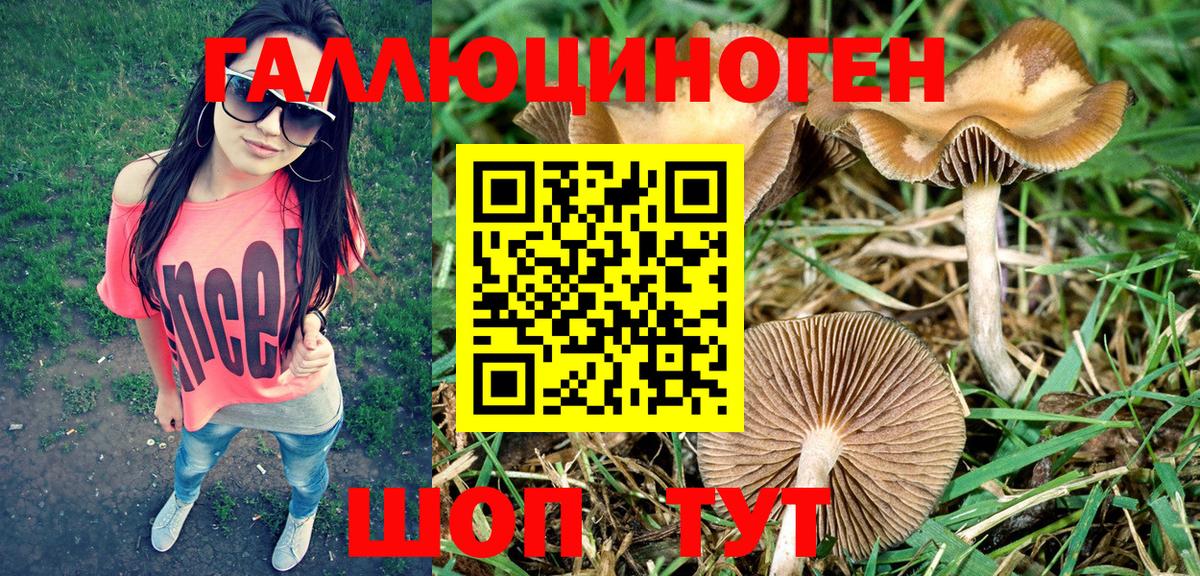 Галлюциногенные грибы Psilocybe  Вход с VPN  Псилоцибиновые грибы Cubensis  Белово 