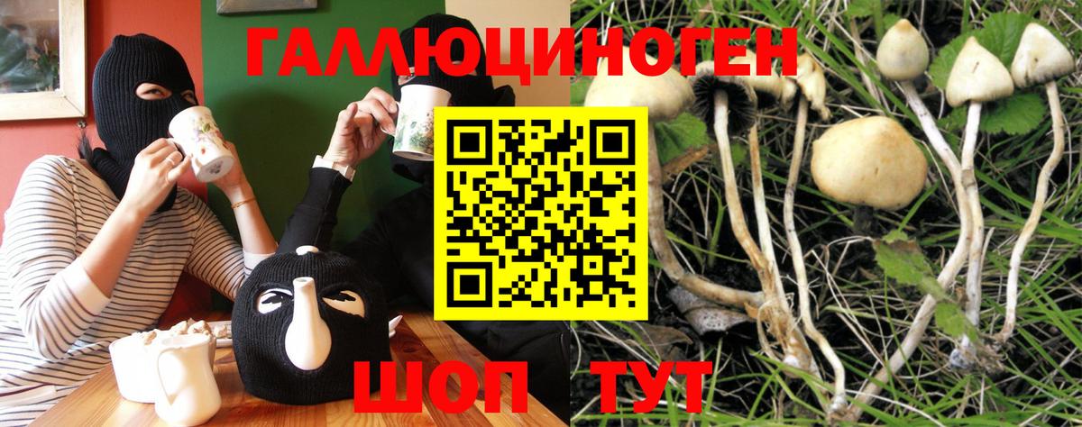 Галлюциногенные грибы Cubensis Белово